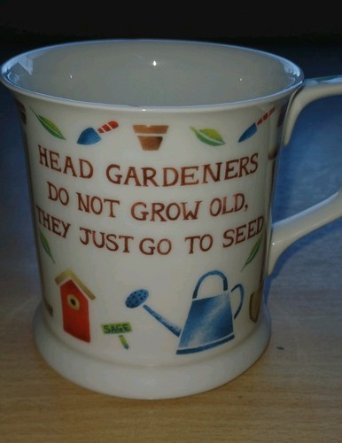 Past times head - past,